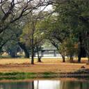  satyas