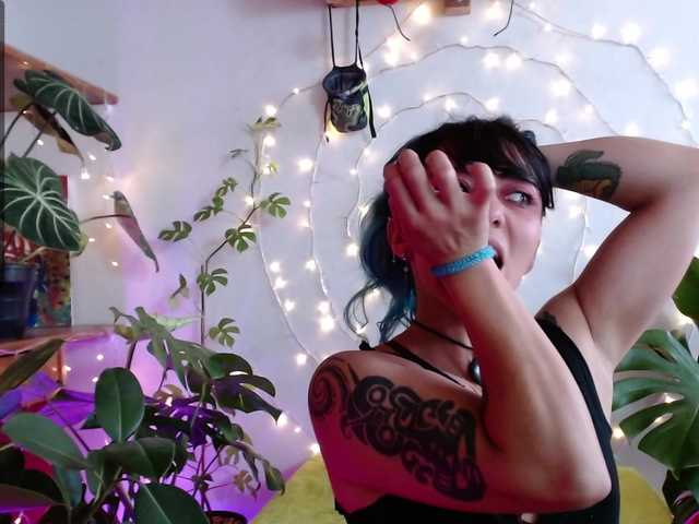  Agnes-hs