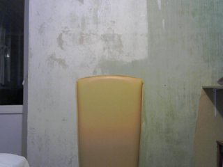  Angealique