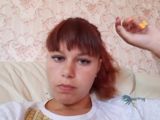  NAnsyLisy