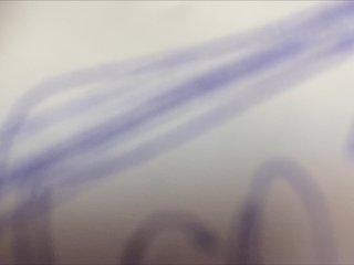  SEXXYBLONDIE