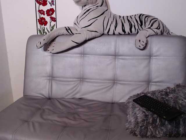  cattaleya13