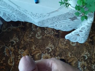  dollar1313