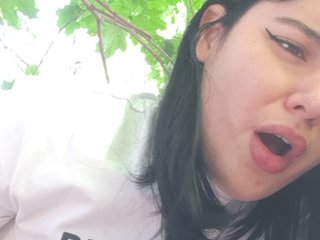  nikitaypapi